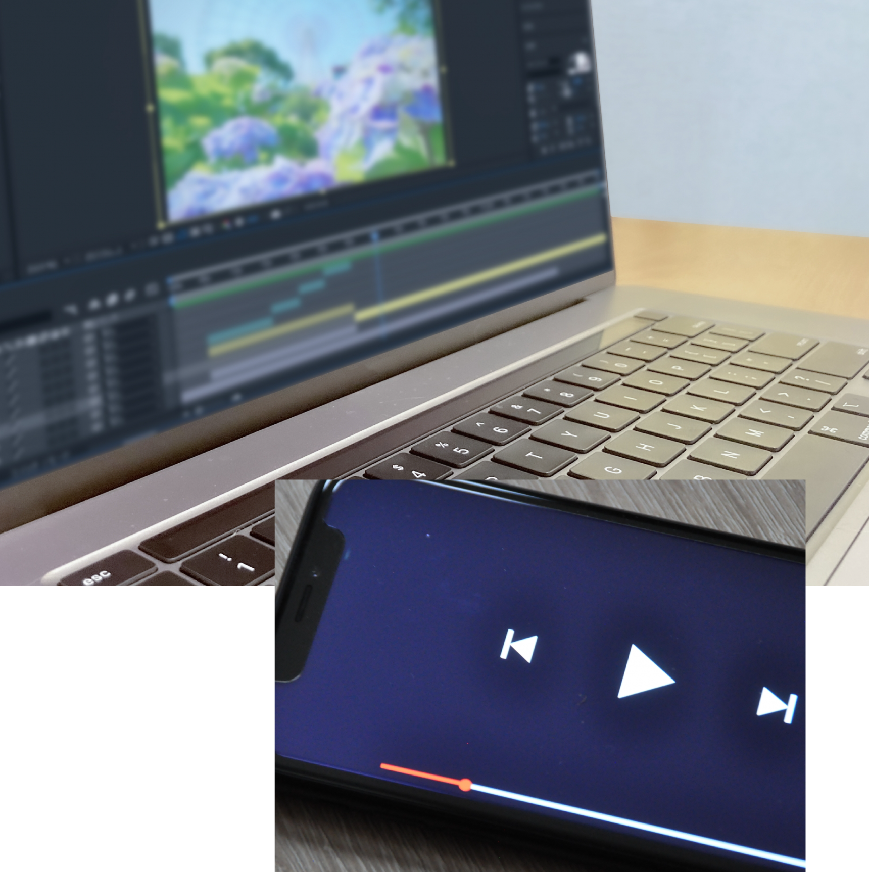 高知や徳島の海とアオリイカのイメージ